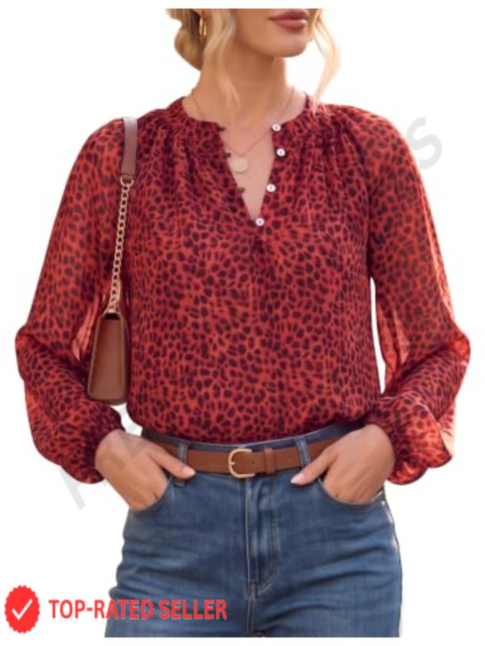 Chiffon Blouse with Bishop Sleeves & Button Neck